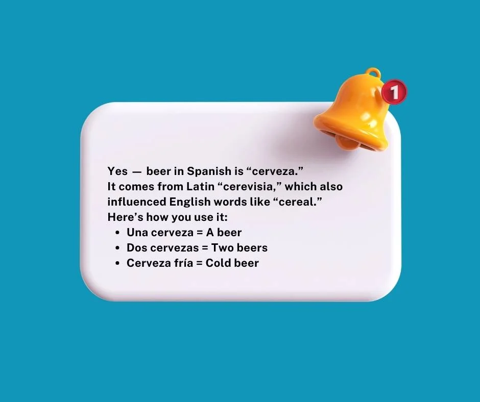 Beer In Spanish Cerveza