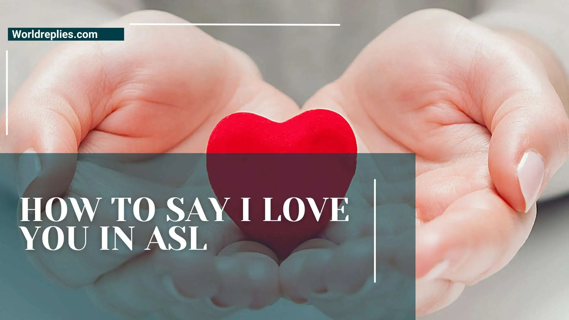 How to Say I Love You in ASL | Learn the Gesture That Touches Hearts