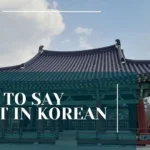 How to Say What in Korean