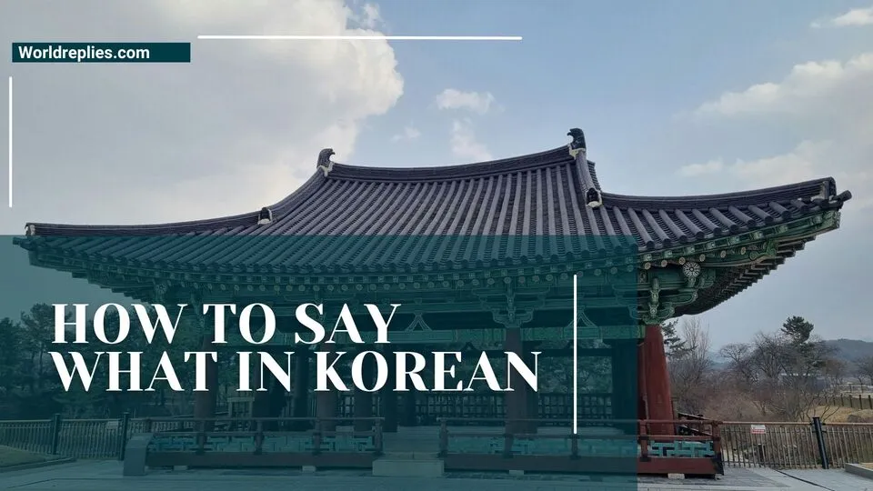How to Say What in Korean