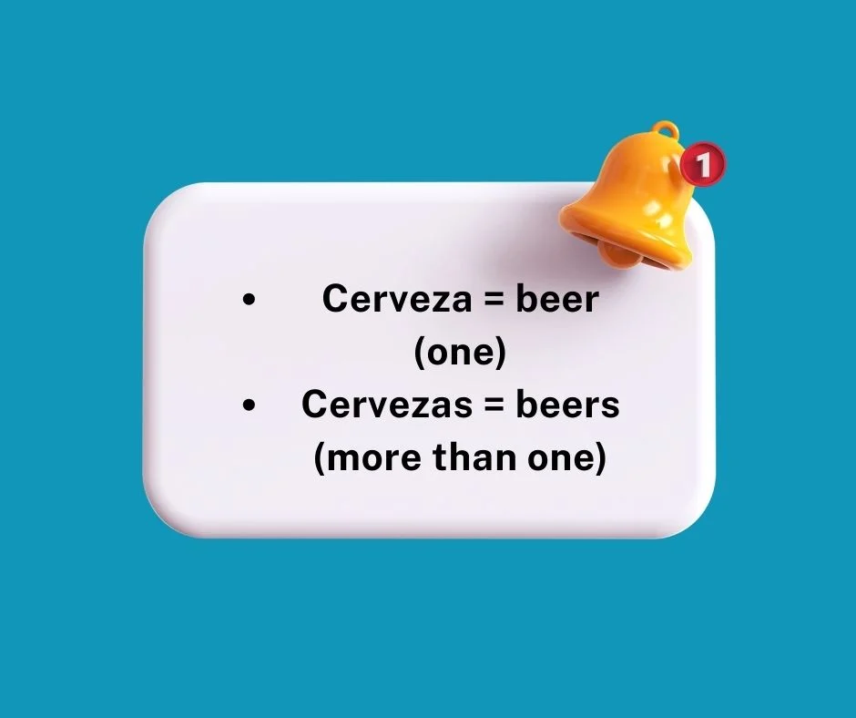 Singular and Plural Forms Explained