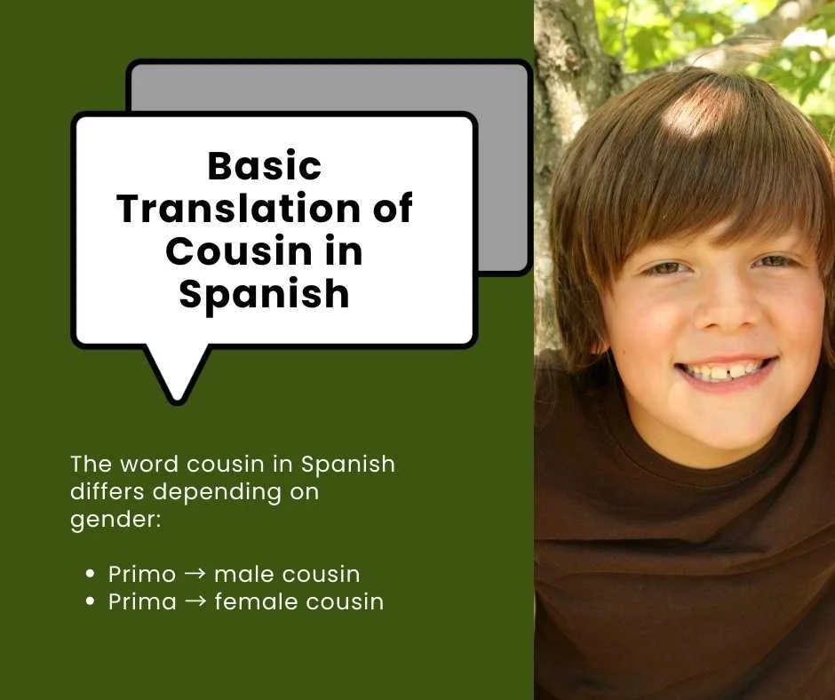 Basic Translation of Cousin in Spanish