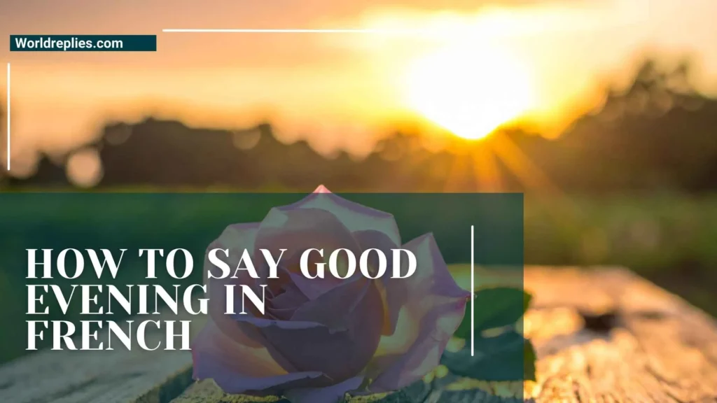 How to Say Good Evening in French