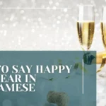 How to Say Happy New Year in Vietnamese