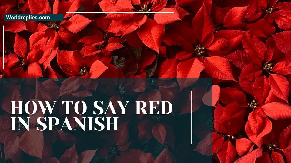 How to Say Red in Spanish
