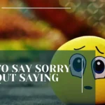 How to Say Sorry Without Saying Sorry