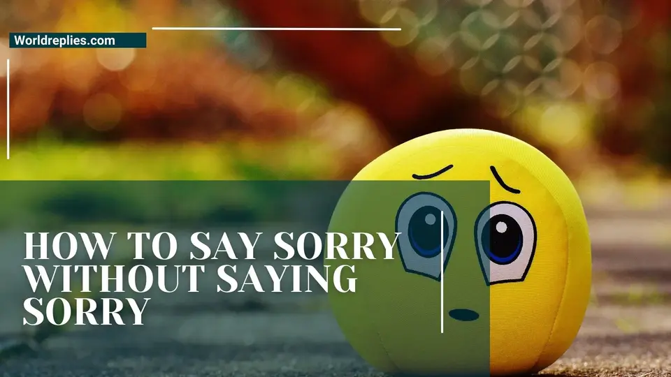 How to Say Sorry Without Saying Sorry