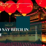 How to Say Bitch in Chinese