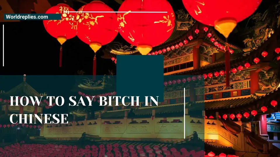 How to Say Bitch in Chinese