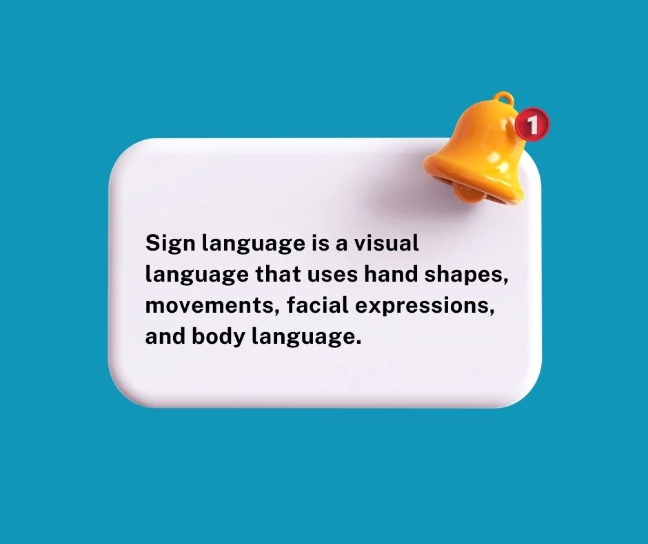 Understanding sign language basics