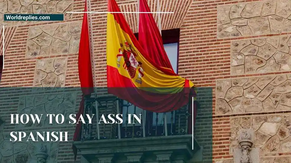 How to Say Ass in Spanish