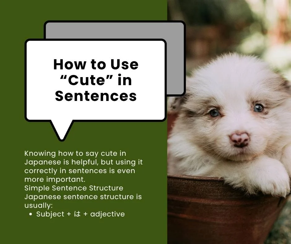 How to Use “Cute” in Sentences
