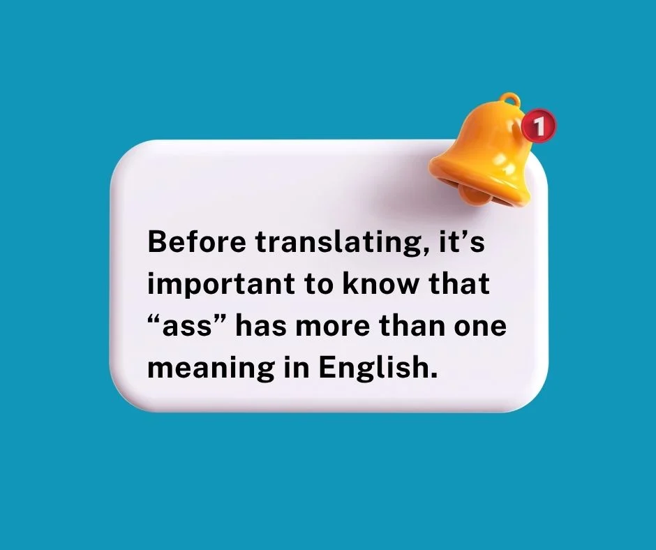 Understanding the Meaning of “Ass” in English