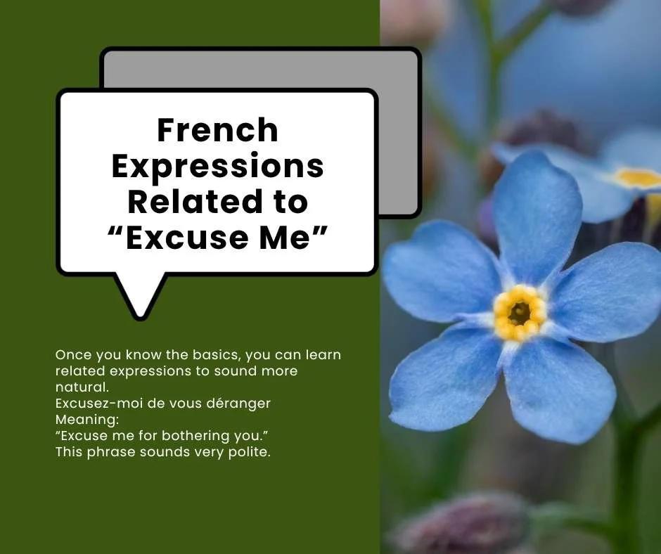 French Expressions Related to “Excuse Me”