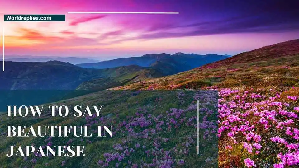 How to Say Beautiful in Japanese