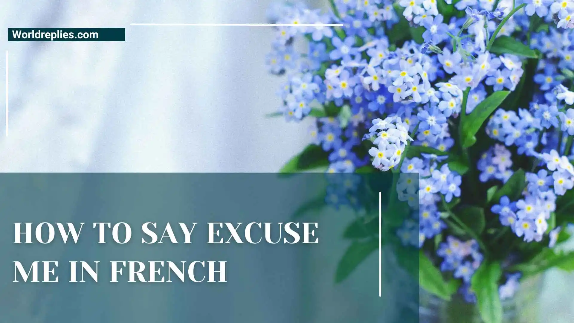 How to Say Excuse Me in French