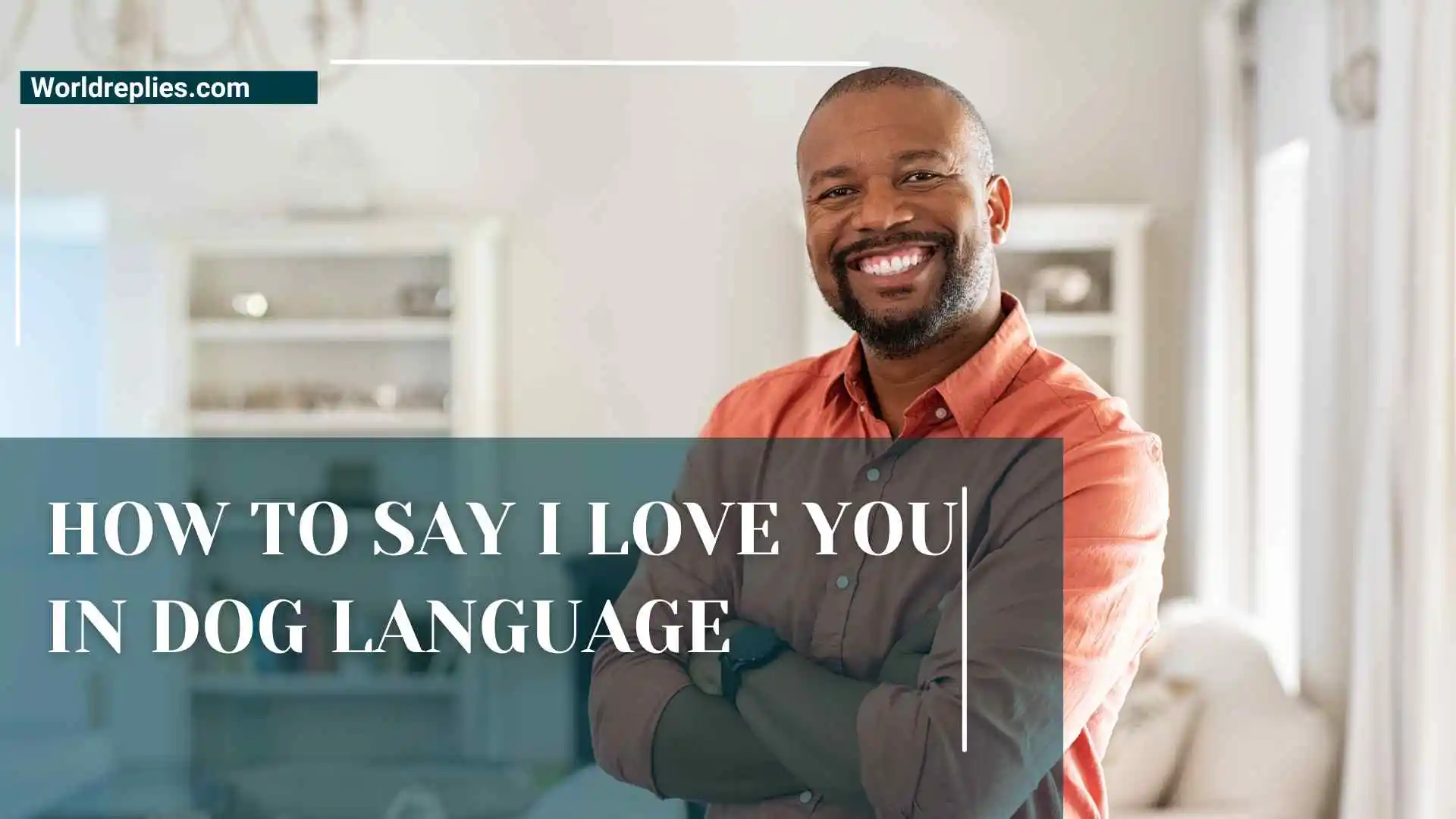 How to Say I Love You in Dog Language | Canine Behaviors That Prove You Cherish Them