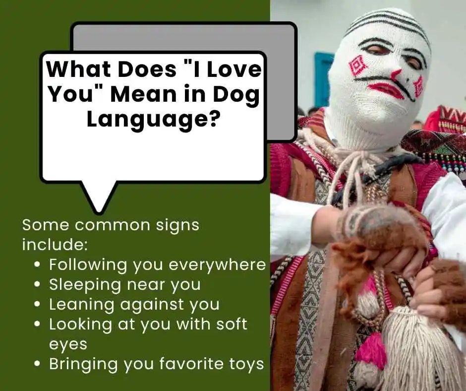 how to say i love you in dog language