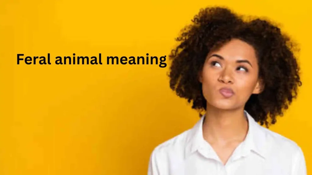 what does feral mean