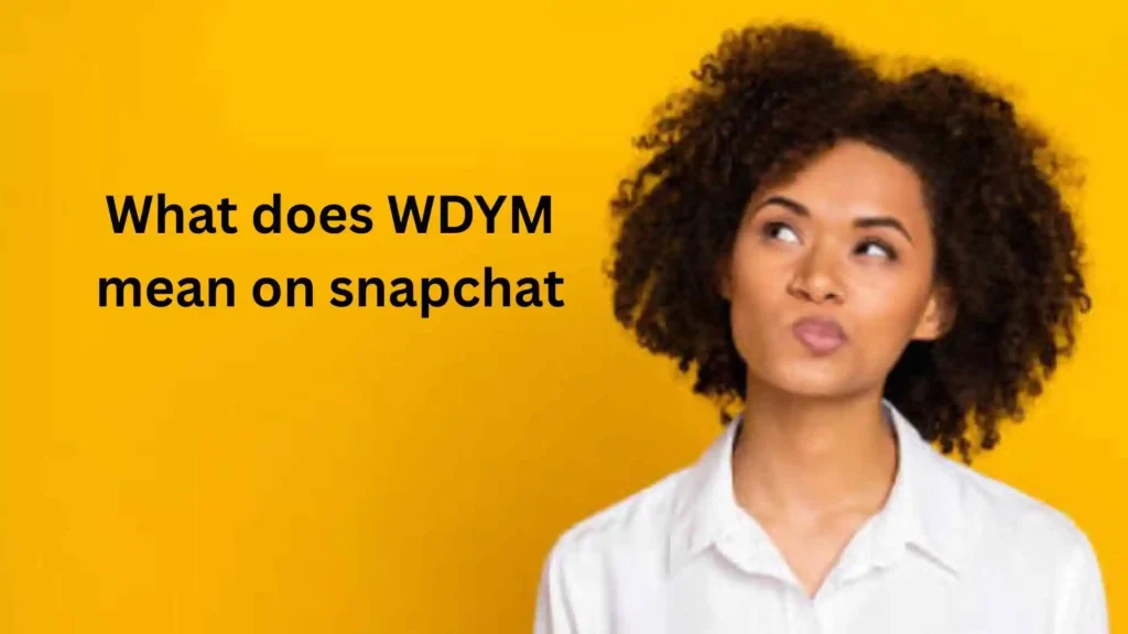 what does wdym mean