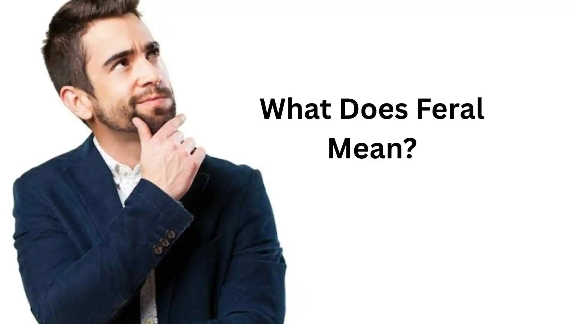 what does feral mean