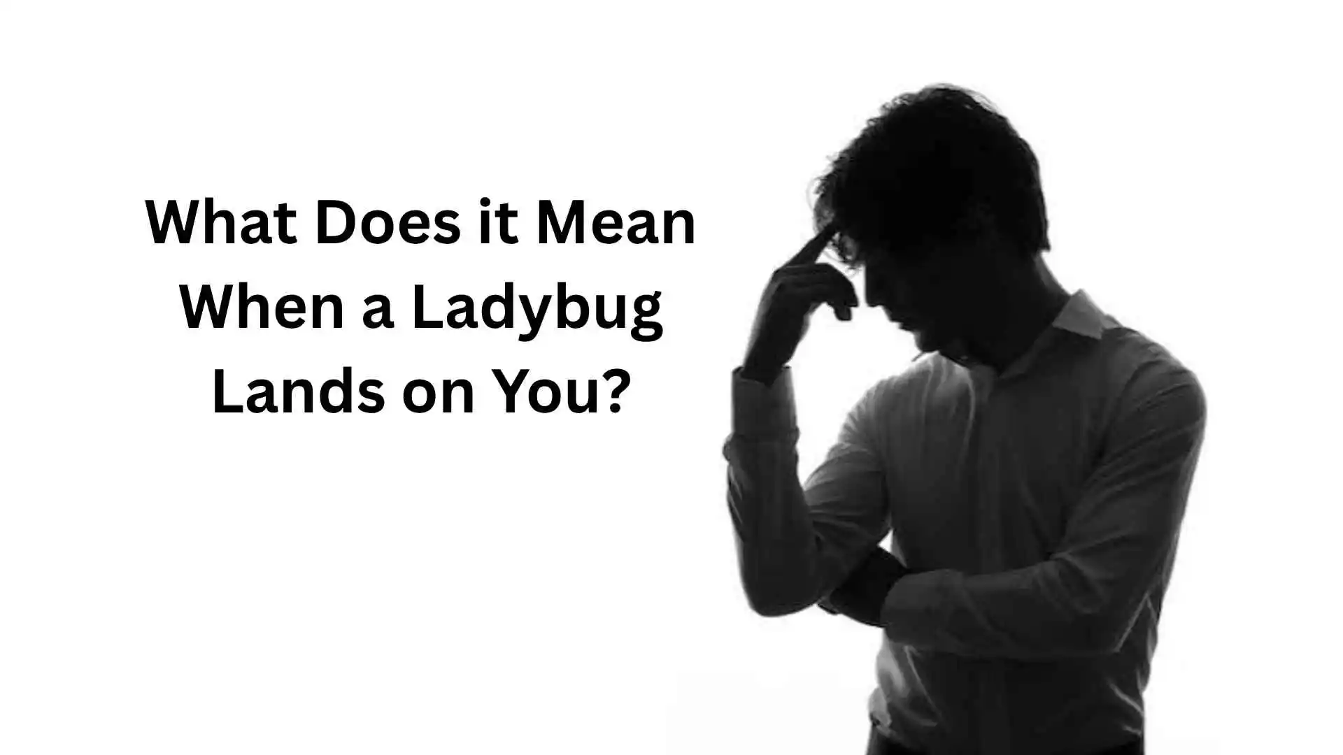 what does it mean when a ladybug lands on you