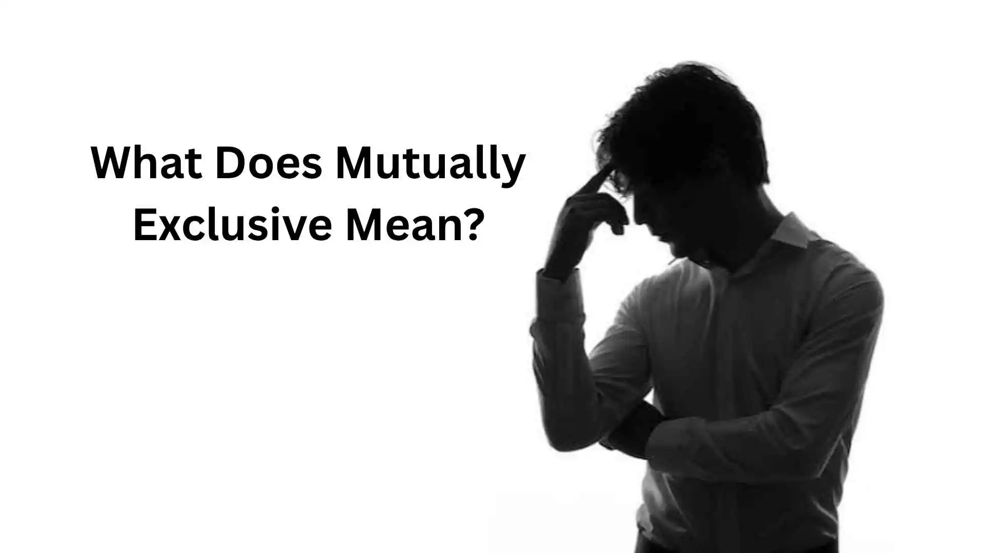 what does mutually exclusive mean