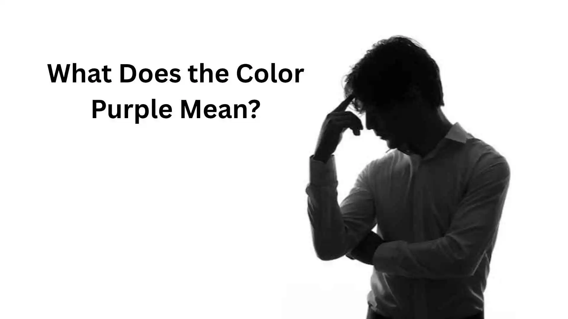 What Does the Color Purple Mean | Symbolism, Psychology & Hidden Meaning in 2026